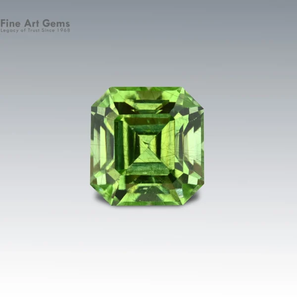 5.35 Carat Ludwigite Included Peridot with Asscher Cut – Pakistan